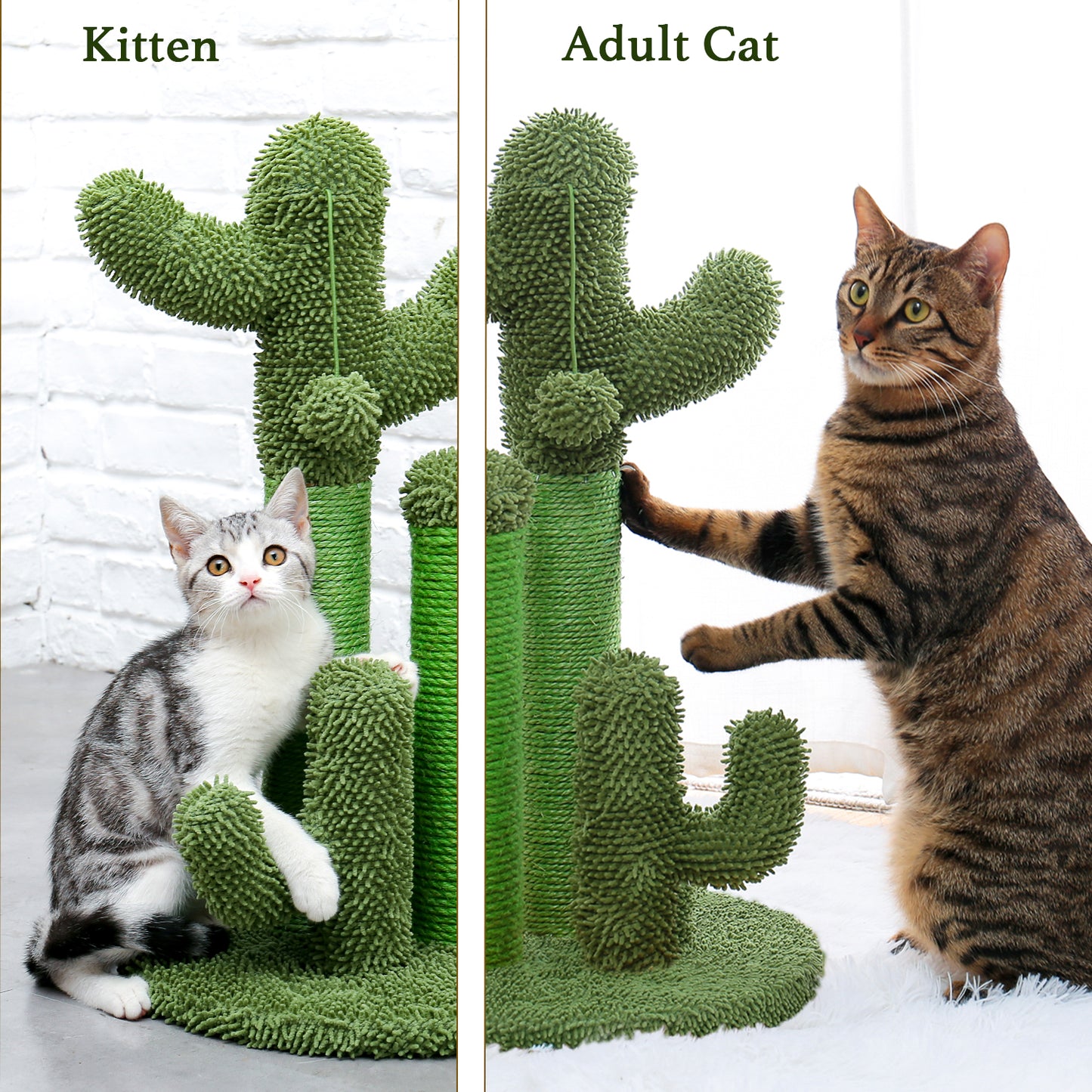 Cat Scratching Post Cactus Cat Scratcher Featuring with 3 Scratching Poles and Interactive Dangling Ball