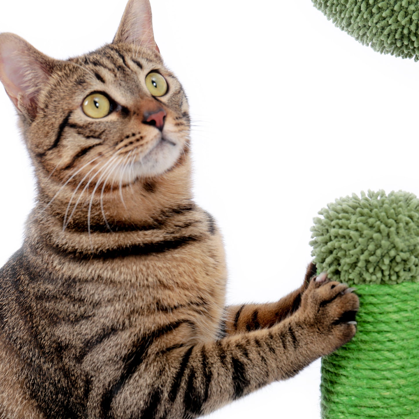 Cat Scratching Post Cactus Cat Scratcher Featuring with 3 Scratching Poles and Interactive Dangling Ball