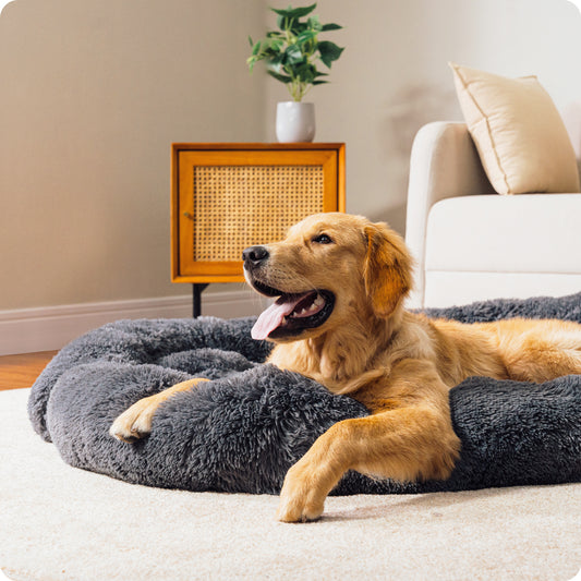 Dog Bed Large Sized Fluffy Dog Bed Couch Cover, Calming Large Dog Bed, Washable Mat for Large Dogs and Cats, Deep Grey