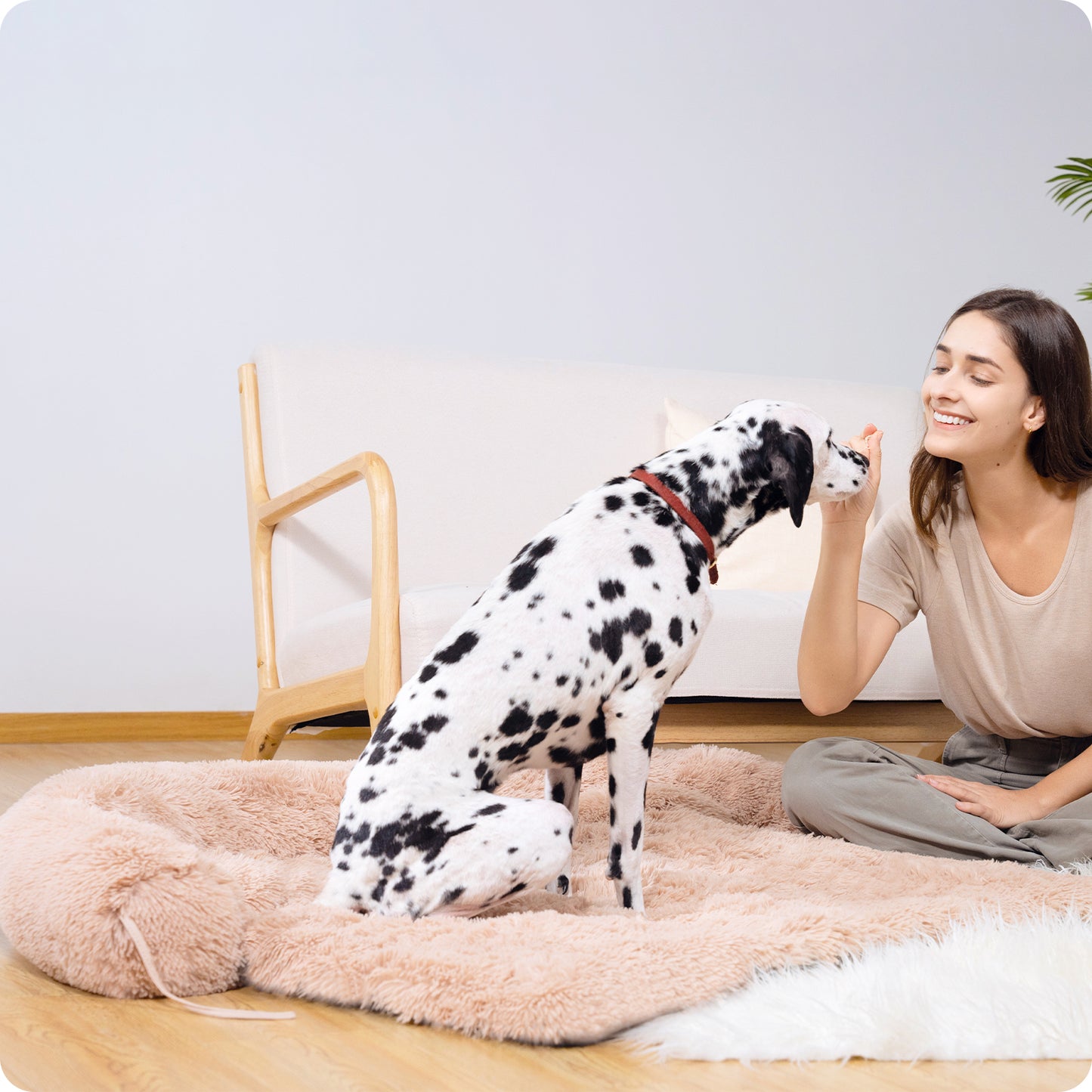 Dog Bed Large Sized Fluffy Dog Bed Couch Cover, Calming Large Dog Bed, Washable Mat for Large Dogs and Cats, Beige