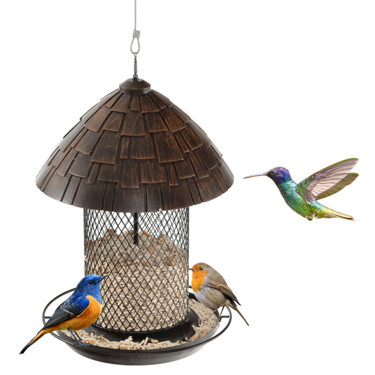 Hanging Bird Feeder with Perch and Drain Holes