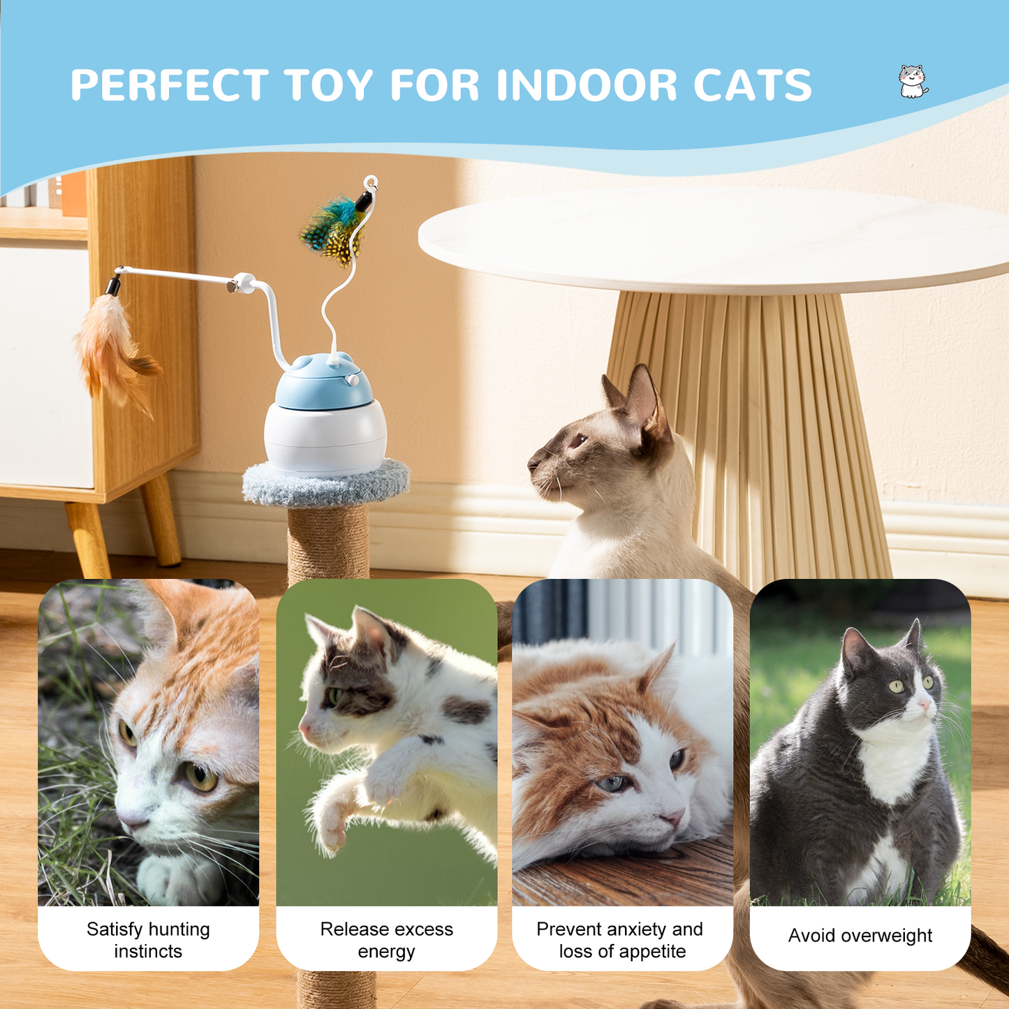 Automatic Interactive Cat Toy 4 in 1 Rechargeable Cat Laser Toy Automatic Exercise and Relieve Boredom Toy