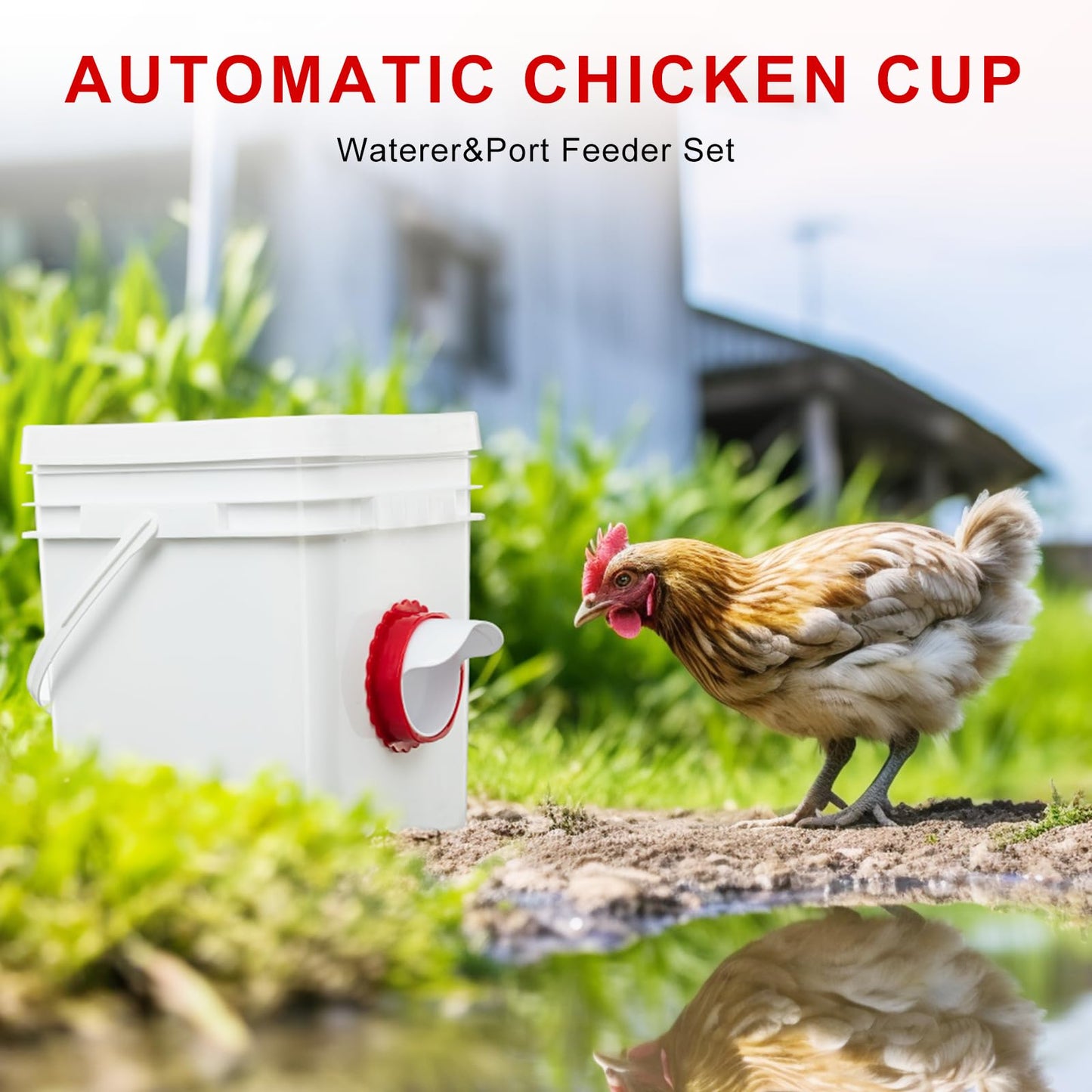 Chicken Feeder Set 6 Pieces Rainproof Automatic Duck Bird Goose Rainproof Poultry Feeder Kit